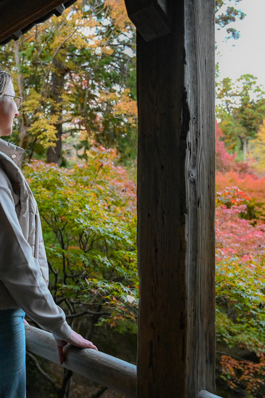 Kyoto: Half-day Guided Bike Tour with Fushimi Inari - Gion from the backstreets, not just the postcard view