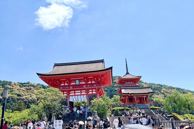 Kyoto Half Day Highlights Tour - What the guides add to the experience