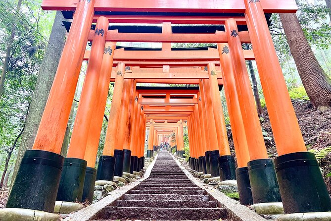 Kyoto Half Day Highlights Tour - Is $50 a fair price?