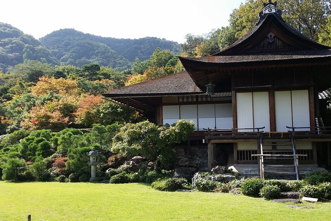 Kyoto Highlights: Arashiyama & Fushimi Inari by Private Car - Walking the Bamboo Forest Street