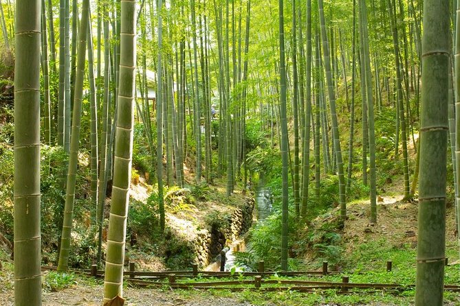 Kyoto Highlights: Arashiyama & Fushimi Inari by Private Car - Okochi Sanso Garden and matcha