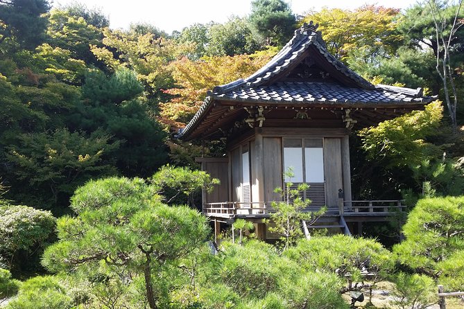 Kyoto Highlights: Arashiyama & Fushimi Inari by Private Car - Fushimi Inari and its endless red gates
