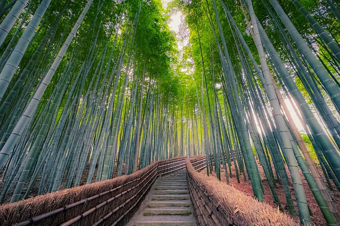 Kyoto Highlights & Hidden Gems in Nature (Private Van Eng-Guide) - The mountain road changes the mood completely