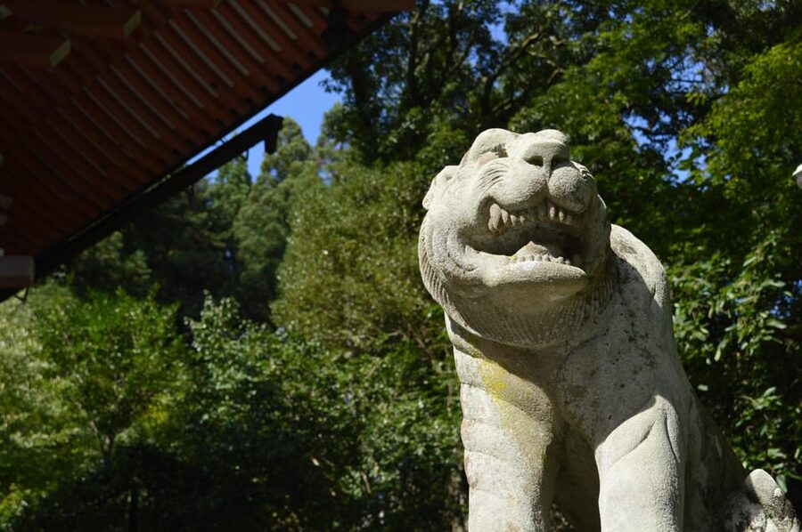 Kyoto: Hike and Hot Springs in Kurama - Who should book this Kurama experience?