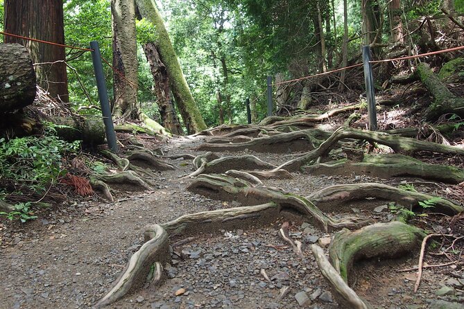 Kyoto Hiking Tour: The Nature and Legends of Kurama and Kibune - Kurama-dera after a forest walk
