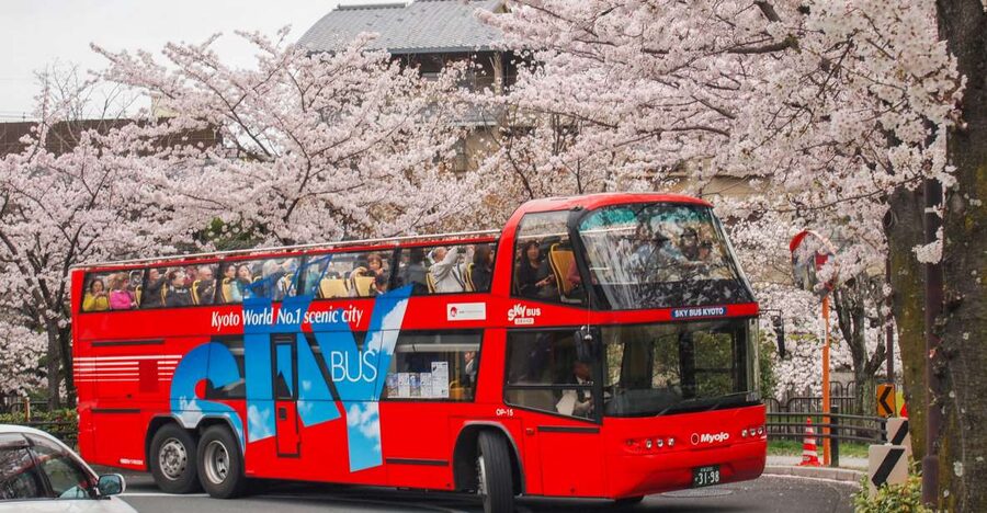 Kyoto: Hop-on Hop-off Sightseeing Bus Ticket - What this Kyoto bus ticket actually gives you