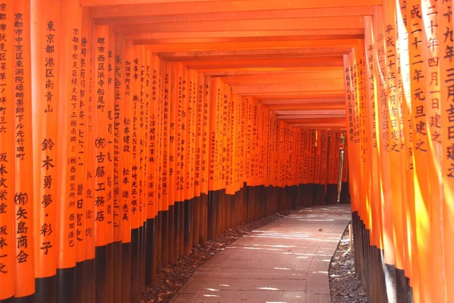 Kyoto: Immersive Arashiyama & Fushimi Inari by Private Car - The guides are a major part of the value