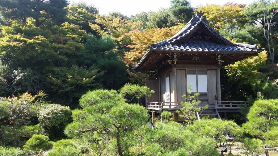 Kyoto: Immersive Arashiyama & Fushimi Inari by Private Car - Why a private car changes the Kyoto day