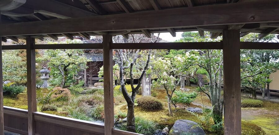 Kyoto: Immersive Arashiyama & Fushimi Inari by Private Car - Arashiyama leaves room for lunch and shopping