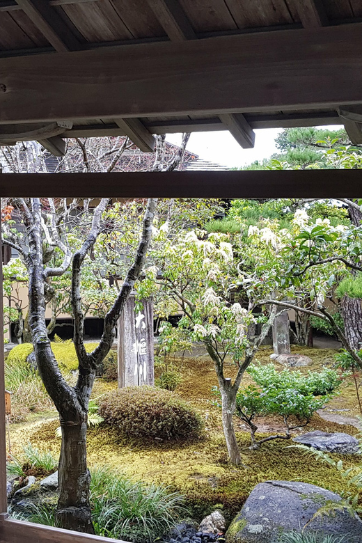 Kyoto: Immersive Arashiyama & Fushimi Inari by Private Car - Fushimi Inari ends the day with orange torii gates