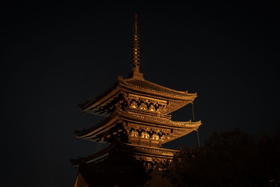 Kyoto: Izakaya Bars Guided Walking Tour - Sake tasting and Japanese drinking customs
