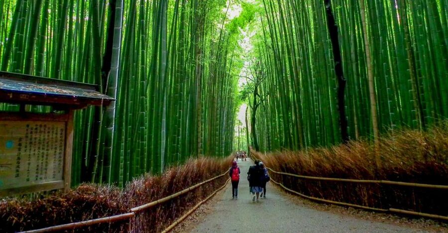 Kyoto: Japanese Gardens Private Customizable Tour - Key points before you book