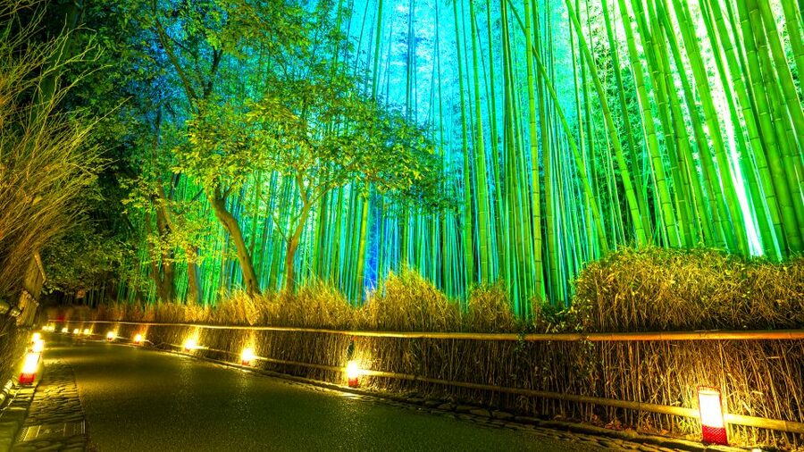 Kyoto: Japanese Gardens Private Customizable Tour - Why a private garden tour works so well in Kyoto
