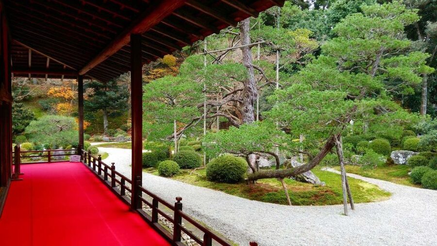 Kyoto: Japanese Gardens Private Customizable Tour - What your six hours may feel like
