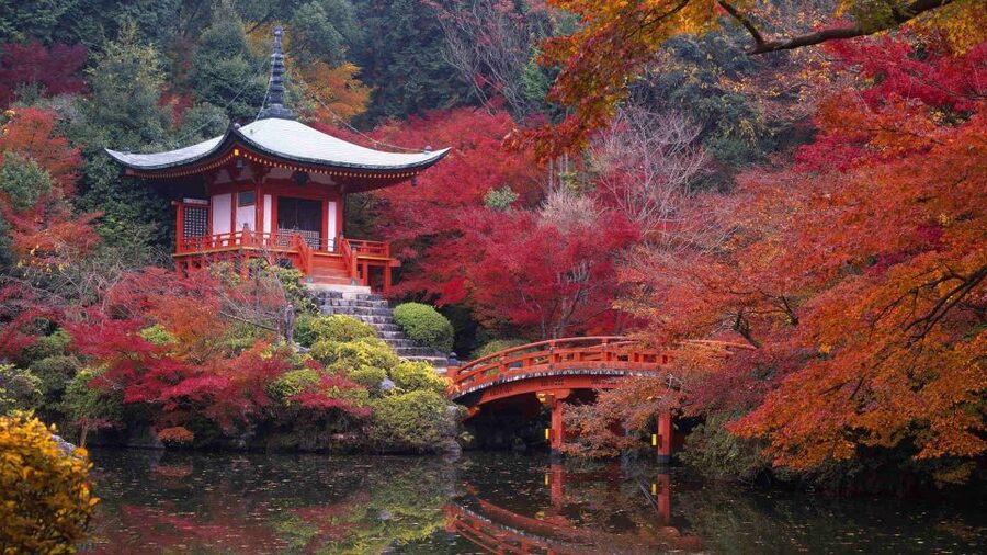 Kyoto: Japanese Gardens Private Customizable Tour - The guide is the main value