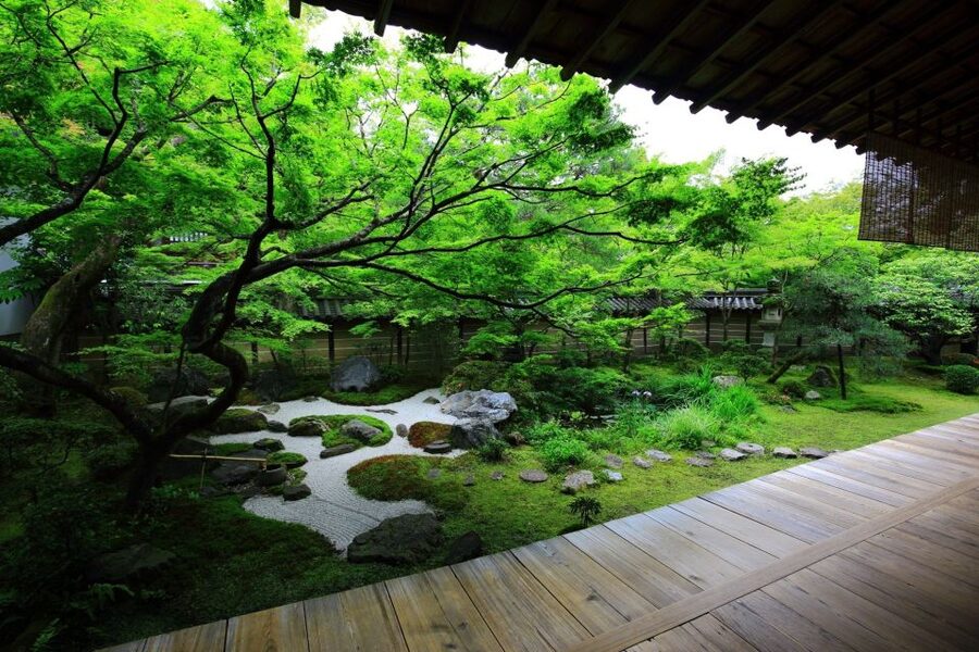 Kyoto: Japanese Gardens Private Customizable Tour - Is $151 per person a fair price?