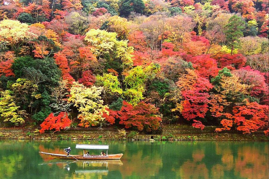 Kyoto: Japanese Gardens Private Customizable Tour - Who should choose this Kyoto garden experience?