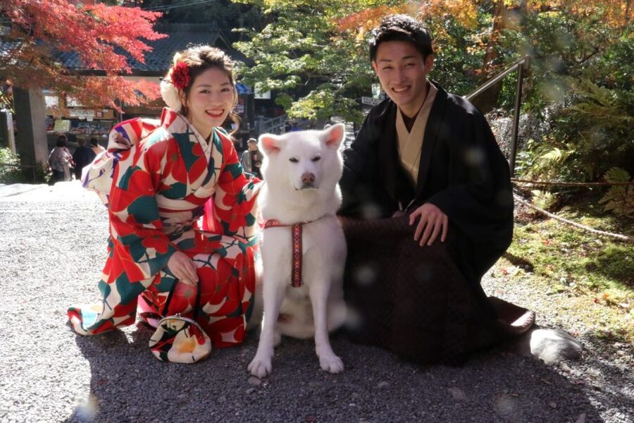 Kyoto: Kimono Rental Traditional Experience at Wargo in Gion - What the $33 price really gives you