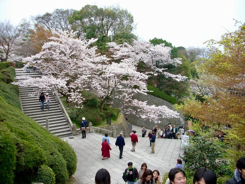 Kyoto: Kiyomizudera, Higashiyama and Yasaka Discovery Tour - Kiyomizudera: a dramatic start with a sacred blue dragon