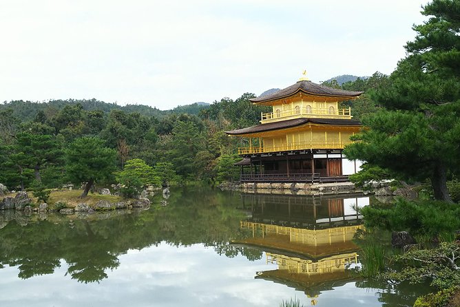 Kyoto Lazy Bird Walking Tour - The private guide is the real value