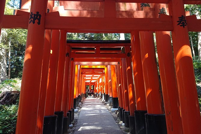 Kyoto Lazy Bird Walking Tour - Arashiyama Bamboo Grove: a beautiful first stop