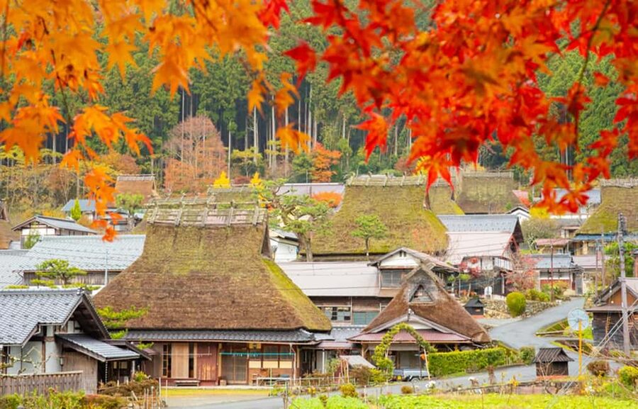 Kyoto: Miyama Village, Amanohashidate & Ine Bay Day Trip - Key points at a glance