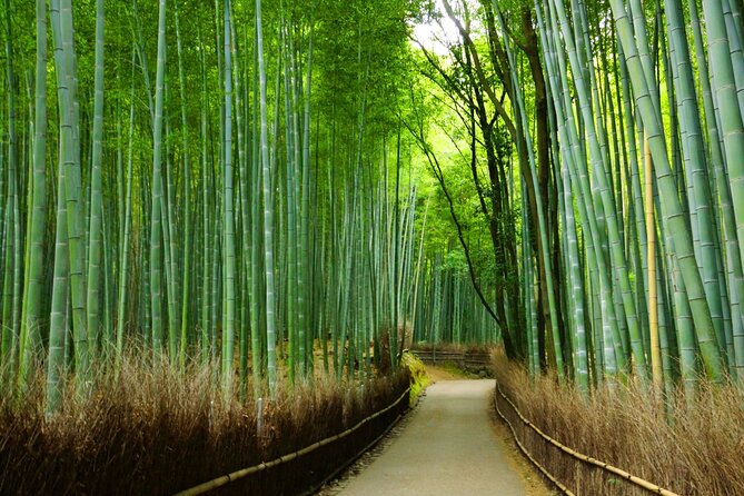 Kyoto Morning Tour with English Speaking Guide - Is $50 good value in Kyoto?