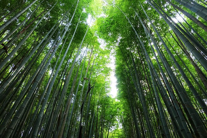 Kyoto Morning Tour with English Speaking Guide - Fushimi Inari and its endless red gates