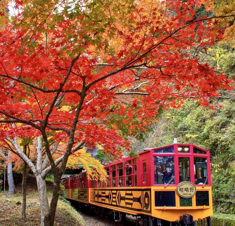 [Kyoto & Nara Day Tour] Sagano Scenic Railway & Nara Park & Fushimi Inari Taisha Thousand Torii Gates & Togetsukyo Bridge & Bamboo Grove & Kimono Forest (Departing from Osaka) - Arashiyama: bamboo, bridge, and Kimono Forest