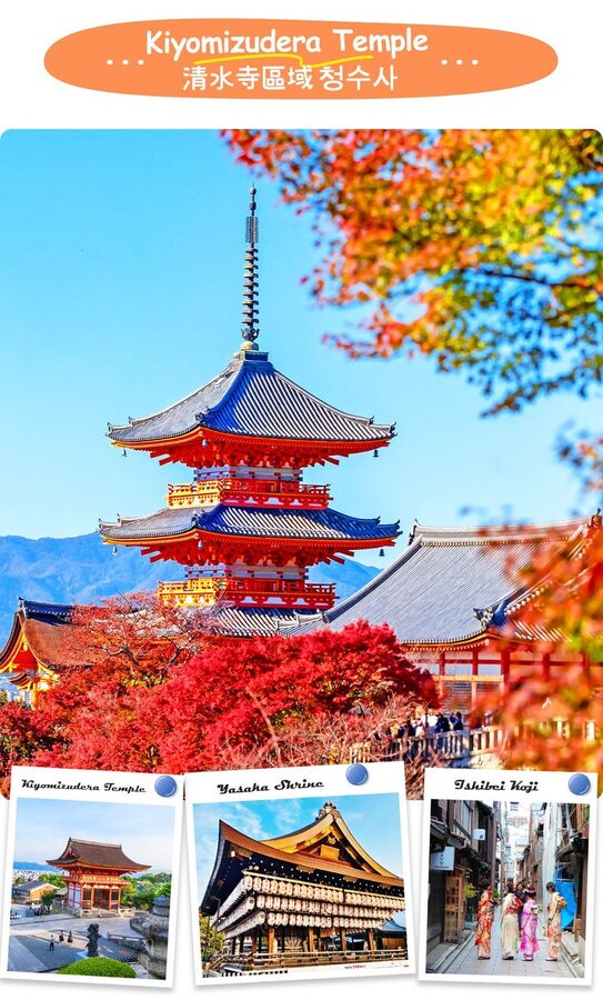 Kyoto Nara Day Trip │ Kiyomizu-dera Temple + Fushimi Inari-taisha Shrine + Nara Park (Departing from Osaka/Kyoto) - Fushimi Inari: a short walk beneath the torii gates