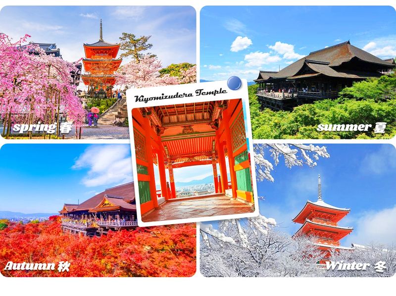 Kyoto Nara Day Trip │ Kiyomizu-dera Temple + Fushimi Inari-taisha Shrine + Nara Park (Departing from Osaka/Kyoto) - Nara Park and Todai-ji: deer, then the Great Buddha