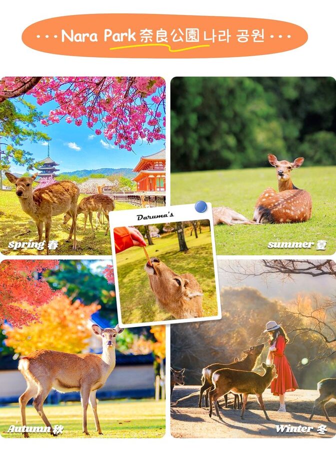 Kyoto Nara Day Trip │ Kiyomizu-dera Temple + Fushimi Inari-taisha Shrine + Nara Park (Departing from Osaka/Kyoto) - Before you book: timing, meeting points and small print
