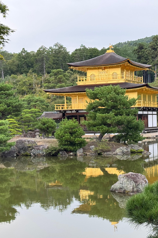 Kyoto & Nara Full Day Customised Tour - Nara Park and the move beyond Kyoto