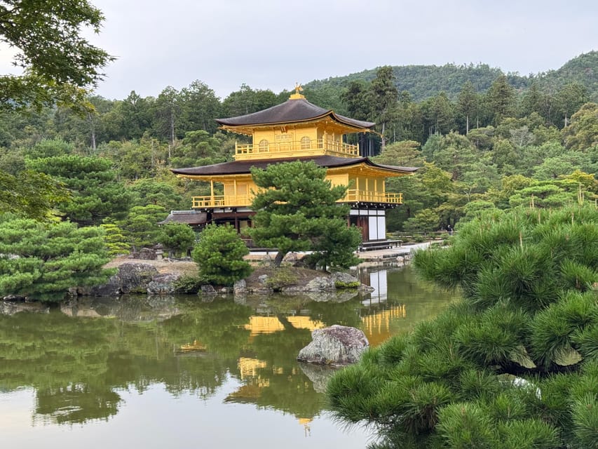 Kyoto & Nara Full Day Customised Tour - How the guide and driver experience may differ