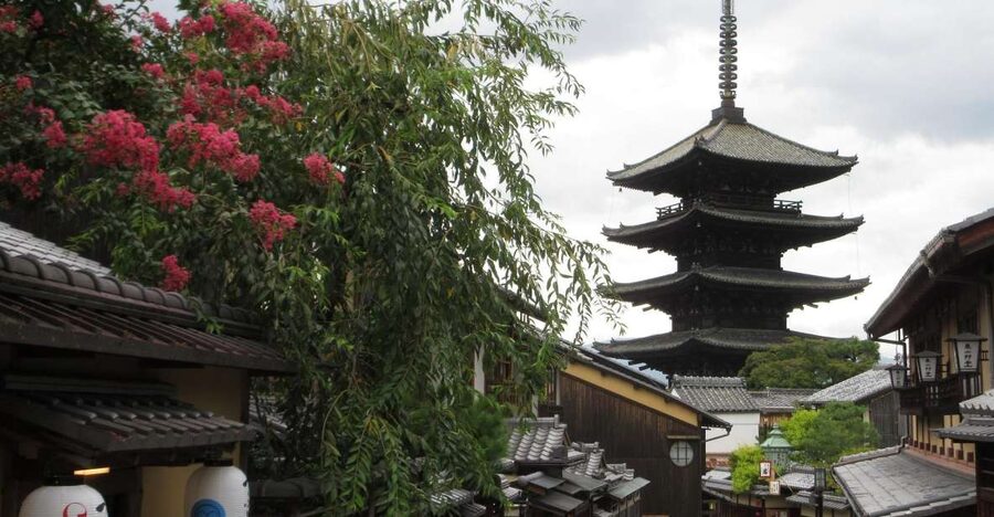 KYOTO-NARA: Giant Buddha Deer Pagoda "Geisya" (Italian, full day) - The guide can make or break this experience