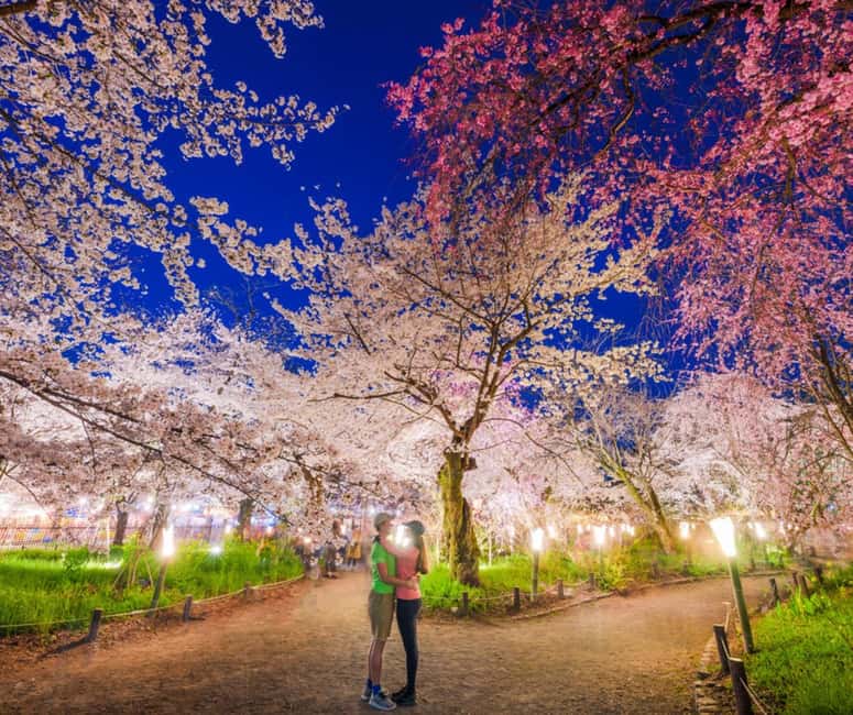 Kyoto & Nara Private Customized, Guided Tour - Fushimi Inari Taisha is best handled with realistic expectations