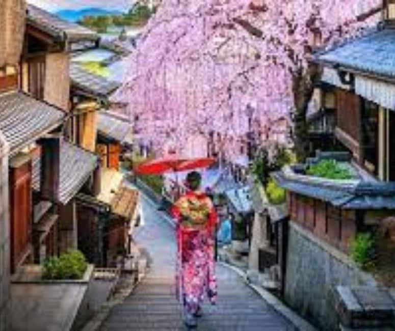Kyoto & Nara Private Customized, Guided Tour - Nara Park adds deer and a very different mood