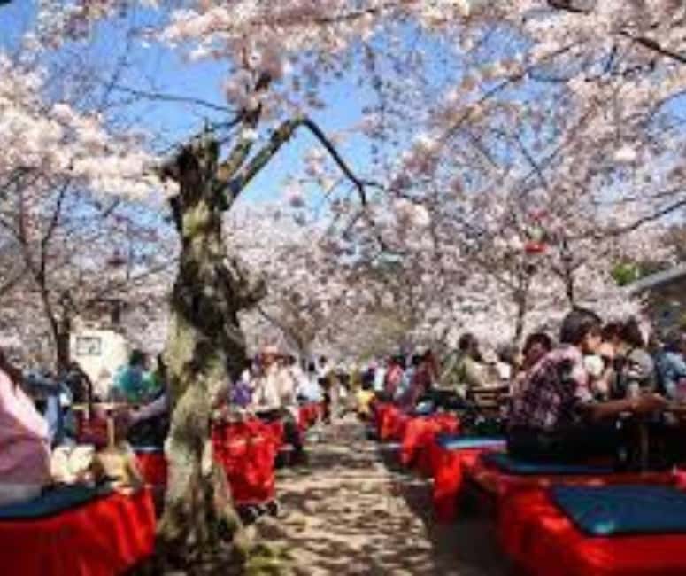 Kyoto & Nara Private Customized, Guided Tour - Kiyomizu-dera offers one of Kyoto’s best city views