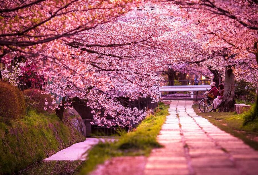 Kyoto & Nara Private Customized, Guided Tour - How much guiding you actually receive matters