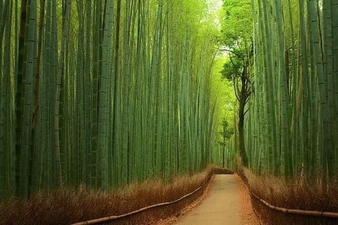 Kyoto & Nara Private customized tour with English speaking Guide - What this $549 private tour actually gives you