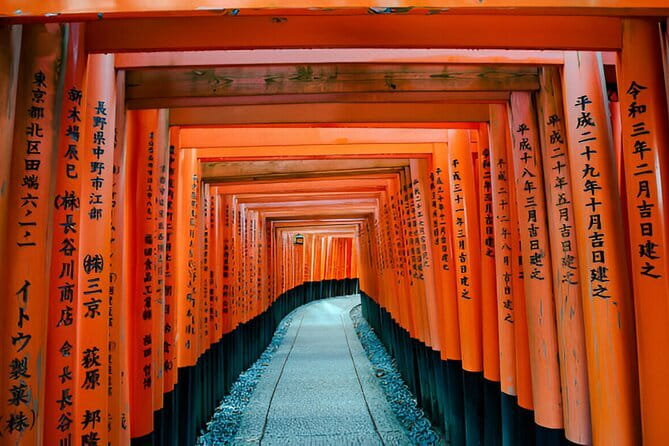 Kyoto & Nara Private Day Tour - Key points at a glance