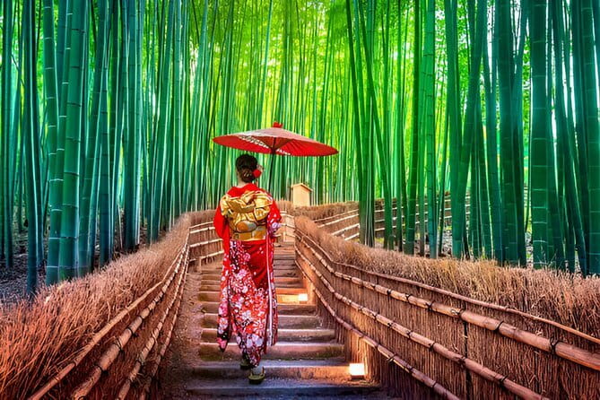 Kyoto & Nara Private Day Tour - Fushimi Inari and its thousands of torii gates