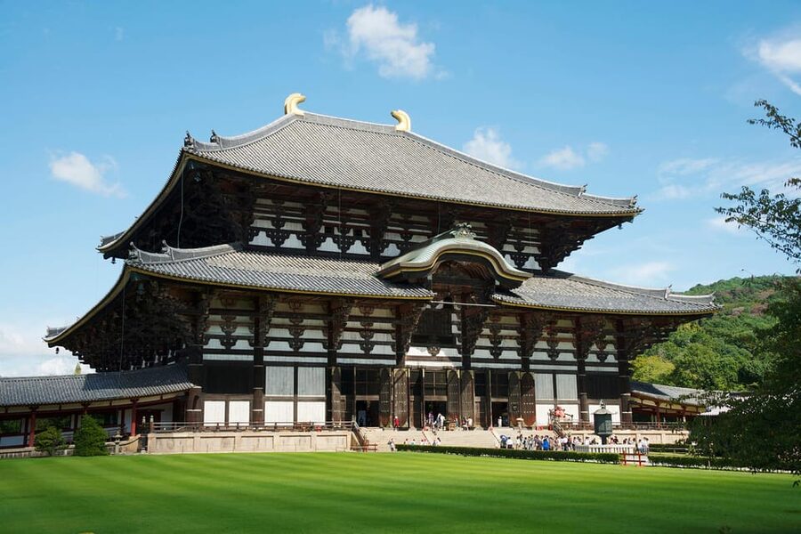 Kyoto: Nara, Todaiji, Kasuga Taisha Shrine Private Full Day - Pace, walking, and who should book