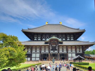 Nara, Todaiji, Kasuga Taisha Shrine Private Full Day
