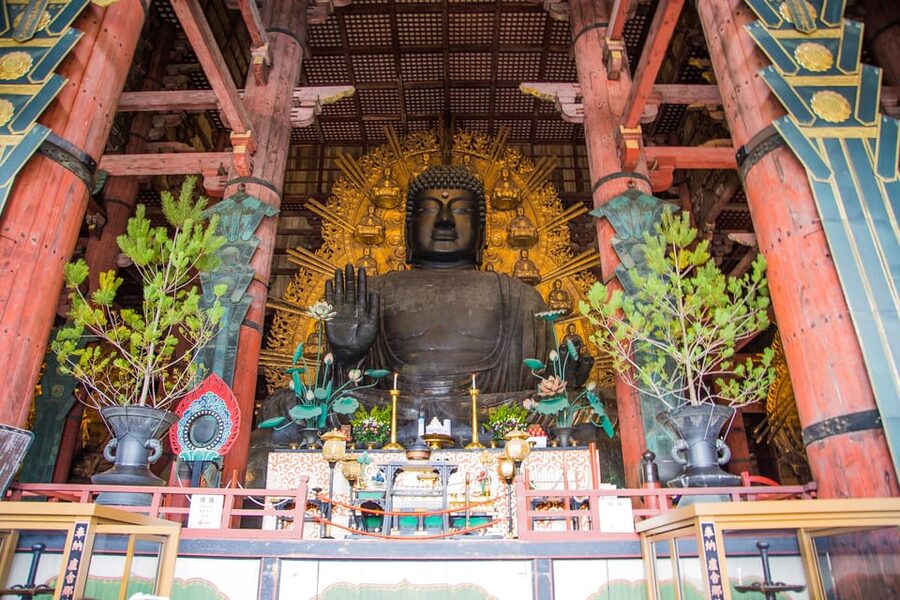 Kyoto: Nara, Todaiji, Kasuga Taisha Shrine Private Full Day - What the $183 price really buys you