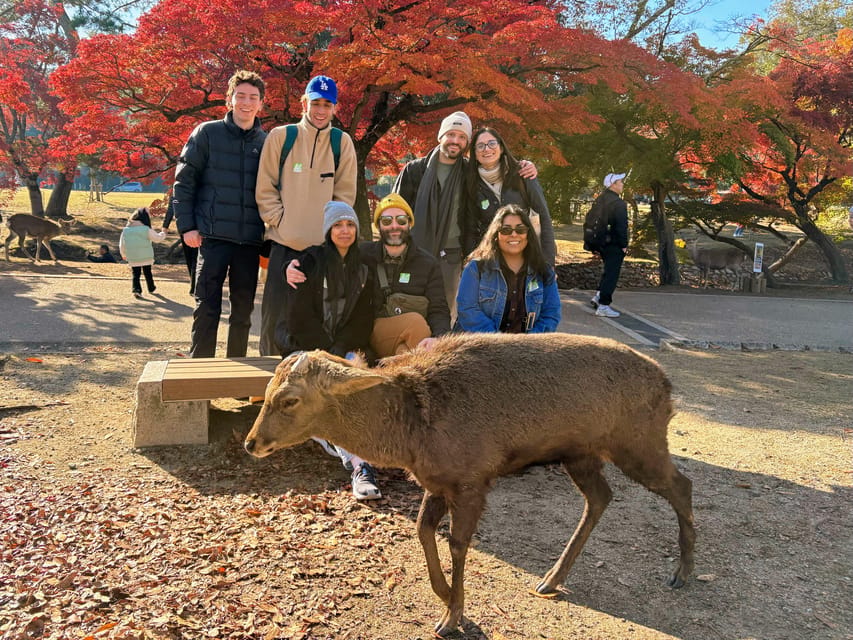 Kyoto: Nara & Traditional Matcha Experience Bus Tour - Key details that make this tour worthwhile