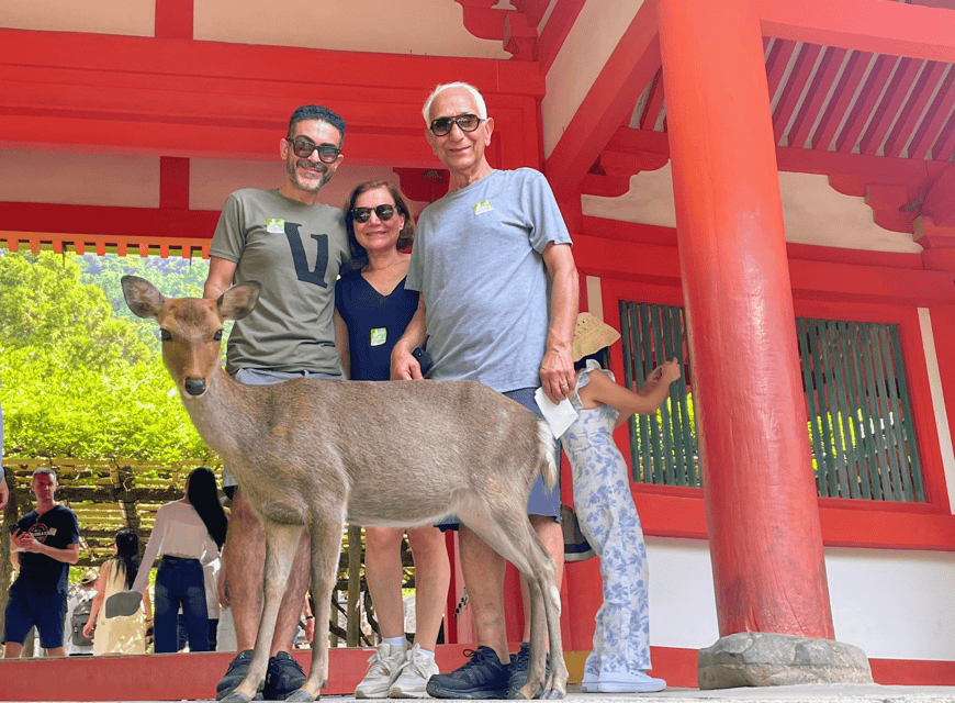 Kyoto: Nara & Traditional Matcha Experience Bus Tour - Is $122 a fair price?