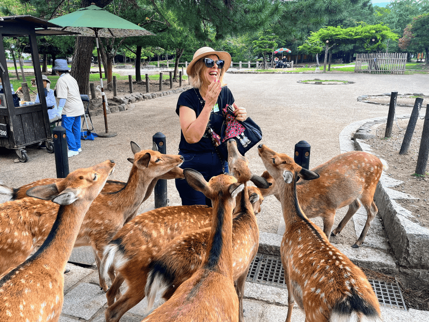 Kyoto: Nara & Traditional Matcha Experience Bus Tour - Meeting Nara’s deer in the park