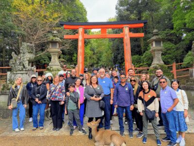 Nara & Traditional Matcha Experience Bus Tour