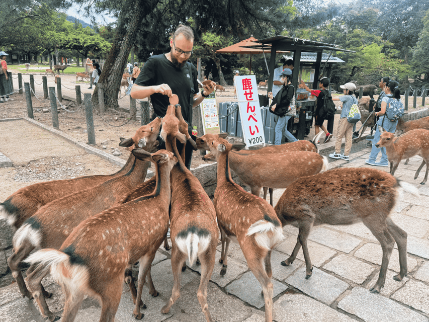 Kyoto: Nara & Traditional Matcha Experience Bus Tour - Making matcha in Uji, the tea center